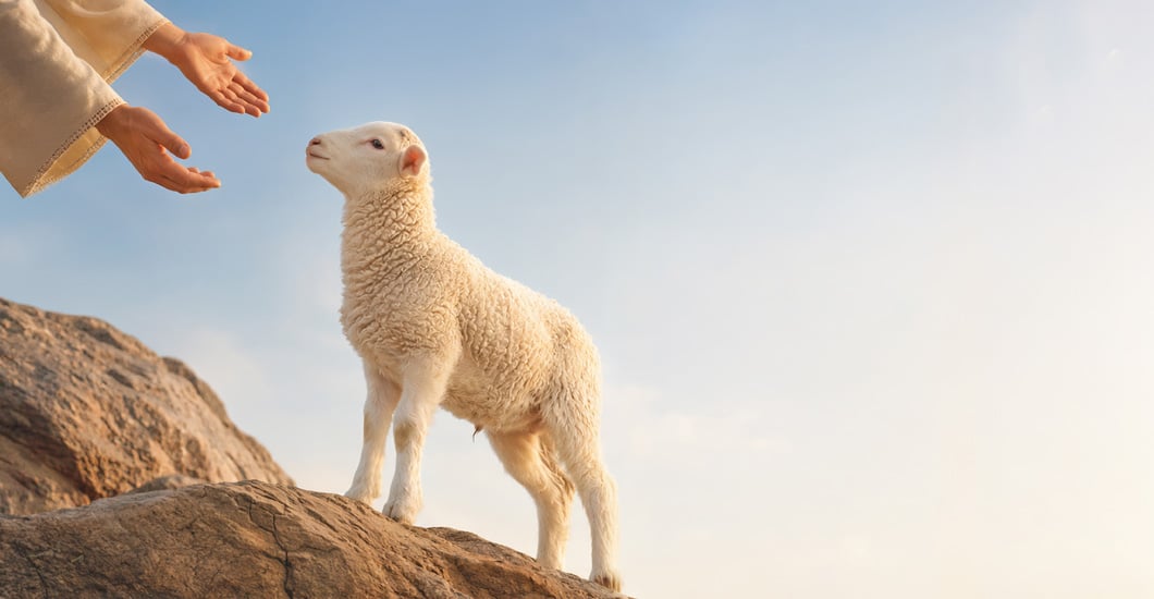 Finding Belonging In Divine Pursuit